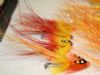 'Pot-belly-pig' salmon flies