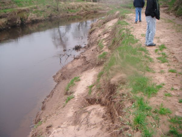 Bank erosion at Curran