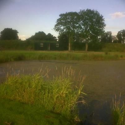 The Ponds before we started.